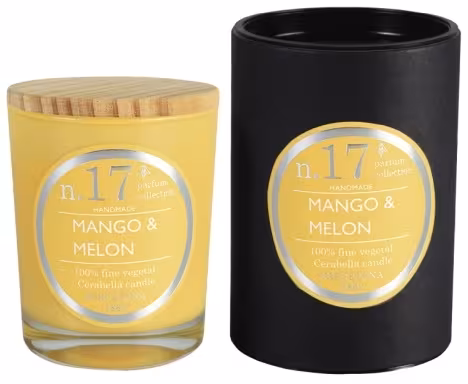 Kerze Nr.17 Mango & Melon 180g - Duftkerze mit Karton