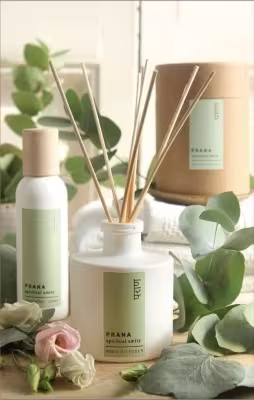 Diffusor Life Balance - LOTUS & JASMIN 200 ml