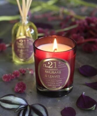 Diffusor Nr. 21 Rhabarber & Leaves 100ml - weitere Produkte mit diesem Duft
