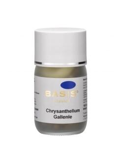 Chrysanthellum Gallenle Kapseln