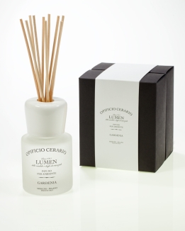 Diffusor als Raumduft (100 ml)